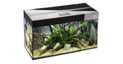 Аквариум Aquael Glossy 100 прямой, 215л