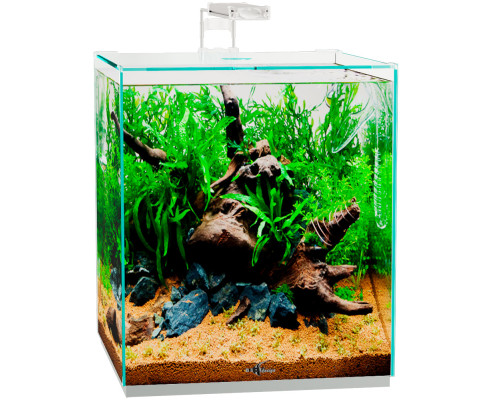 Аквариум Биодизайн (Biodesign) Q-Scape Opti 50