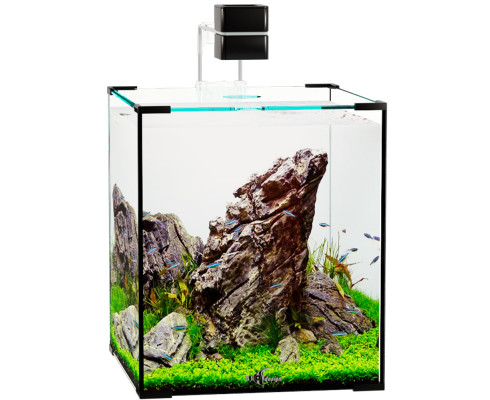Аквариум Биодизайн (Biodesign) Q-Scape 20