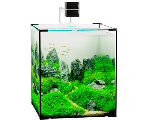 Аквариум Биодизайн (Biodesign) Q-Scape 30