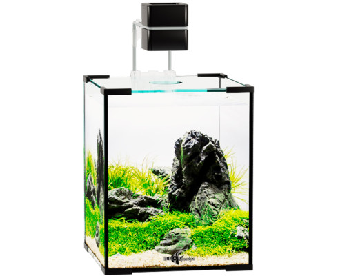 Аквариум Биодизайн (Biodesign) Q-Scape 6.5