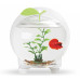 Аквариум для петушка AquaSyncro FA-18 fancy apple 1,8L (грунт, растение)