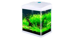 Аквариум BARBUS  Aquarium 004,005,006, 9л