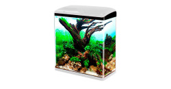 Аквариум BARBUS Aquarium 007,008,009, 17л