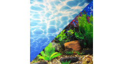 Фон аквариумный Barbus Background 004, 60см*15м