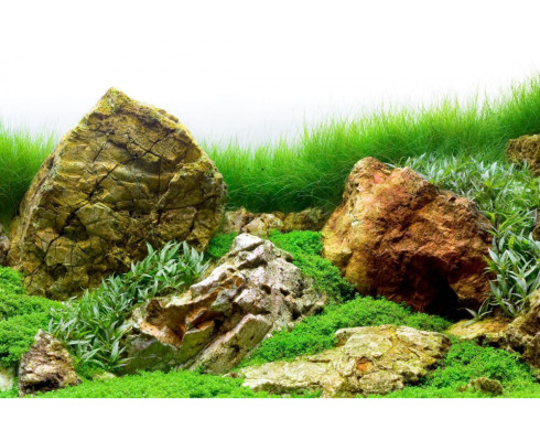 Фон аквариумный двухсторонний Barbus Background 056, 45см*15м