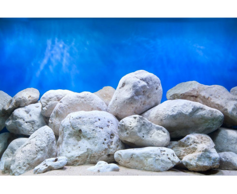 Фон аквариумный двухсторонний Barbus Background 065, 30см*15м