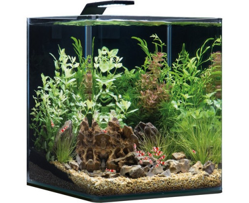 Нано-аквариум Dennerle NanoCube Basic 60 Style LED L