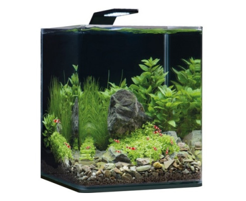 Нано-аквариум Dennerle NanoCube Complete+ 10 Style LED S