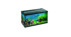 Аквариум EHEIM Aquastar LED черный 54л 