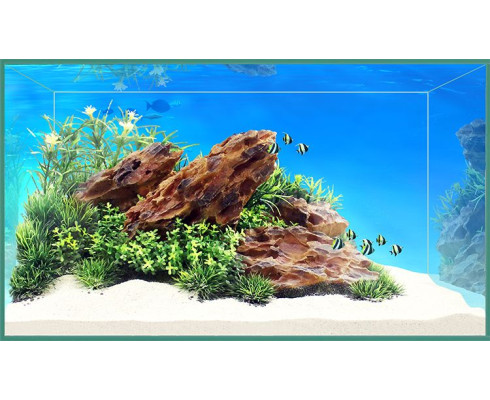 Композиция в стиле "Акваскейпинг" 37x21,5x19 см (YS-17116)