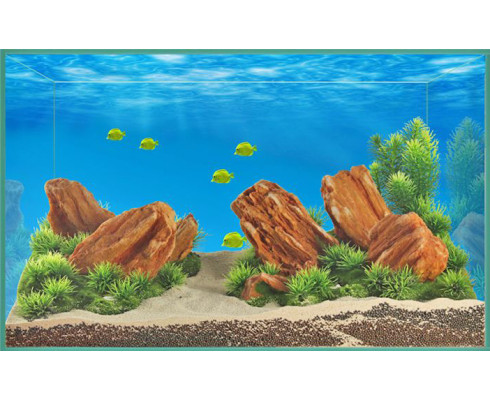 Композиция в стиле "Акваскейпинг" 42,5x24,5x19 см (YS-17117)