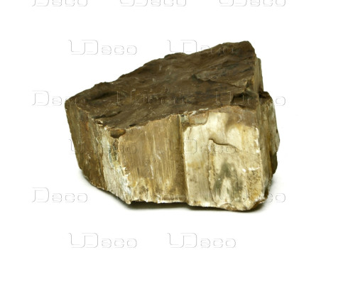Натуральный камень UDeco Fossilized Wood Stone XL 20-30 см