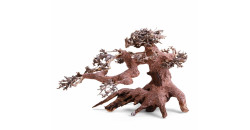 Коряга Дерево Бонсай 23x12x15 см