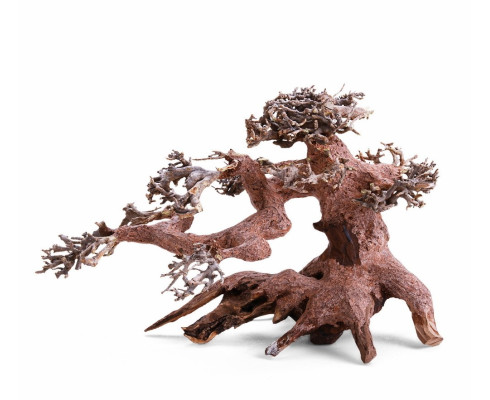 Коряга Дерево Бонсай 23x12x15 см