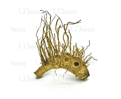 Коряга UDeco Bamboo hair root S 10-20 см