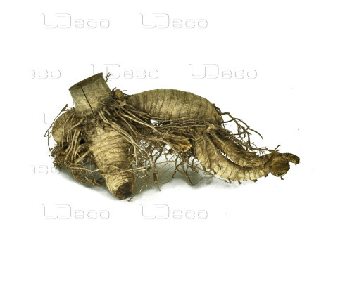 Коряга UDeco Bamboo hair root M 15-30 см