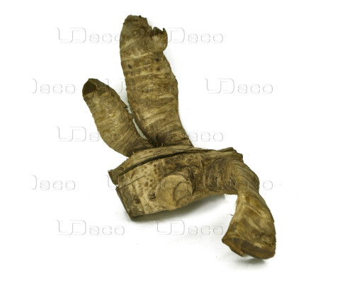 Коряга UDeco Bamboo root L 20-35 см