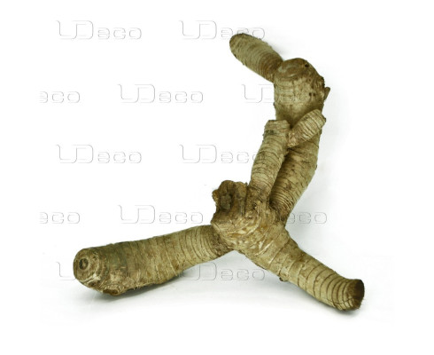 Коряга UDeco Bamboo root M 15-30 см