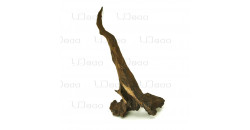 Коряга UDeco Chinese Driftwood S 20-50 см