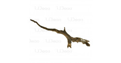 Коряга UDeco Chinese Driftwood L 30-70 см