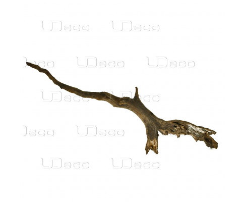 Коряга UDeco Chinese Driftwood L 30-70 см