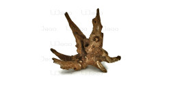 Коряга UDeco Coral Driftwood XXS 10-30 см