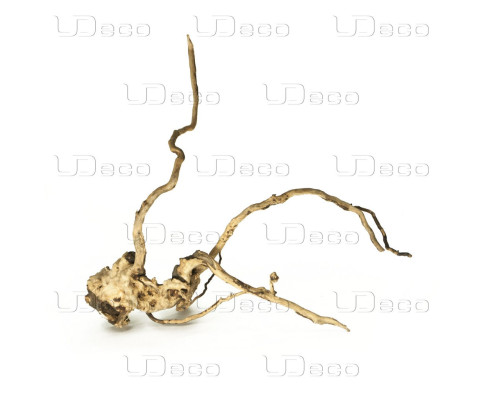 Коряга UDeco Desert Driftwood XXS 10-30 см