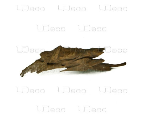 Коряга UDeco Iron Driftwood XS 15-40 см