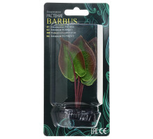 Растение для аквариума Barbus Эхинодорус бархатный, шелковое, 10 см