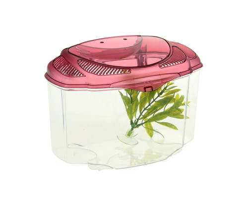 Аквариум HAGEN MARINA BETTA KIT BURGUND, 2 литра