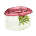 Аквариум HAGEN MARINA BETTA KIT BURGUND, 2 литра