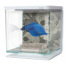 Аквариум Hagen Marina Betta Kit Skull, 2 литра