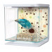 Аквариум Hagen Marina Betta Kit Skull, 2 литра