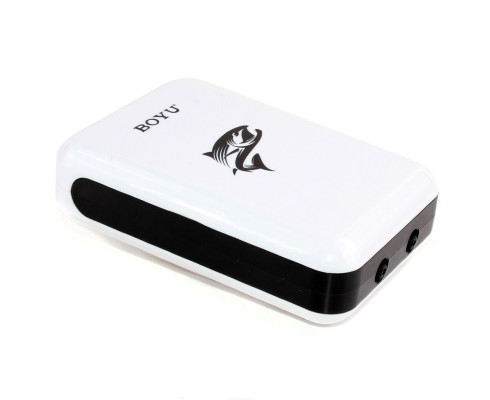Компрессор с аккумулятором Boyu D 600 AC/DC