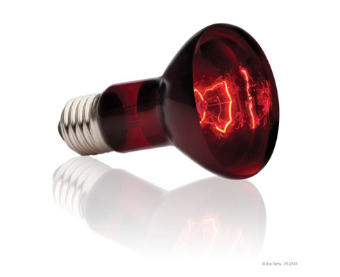 Лампа для террариума Hagen Exo-Terra Heat Glo Infrared 75 Вт