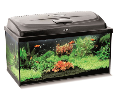Крышка прямая Aquael CLASSIC 60x30см, черная 