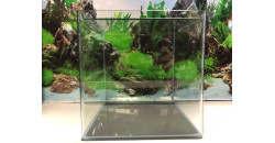 Аквариум Prime Nano Cube из дугового стекла, 17 л.