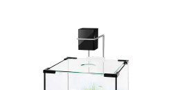 Диодный светильник Биодизайн Q-LED Mini (5 Вт)
