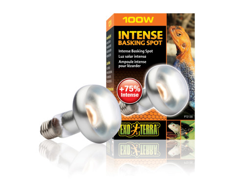 Лампа накаливания Exo Terra Intense Basking Spot, 100 Вт