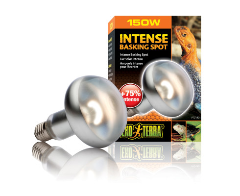 Лампа накаливания Exo Terra Intense Basking Spot, 150 Вт