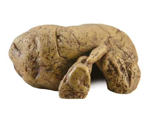 Естественное убежище-грот Exo-Terra Reptile Cave XS, мини