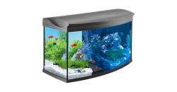 Аквариум Tetra AquaArt Evolution Line 100 