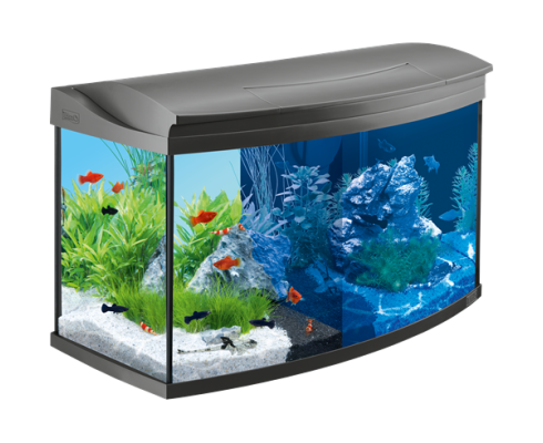 Аквариум Tetra AquaArt Evolution Line 100 