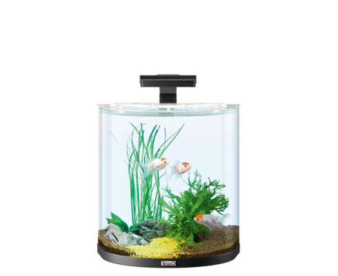 Аквариум Tetra AquaArt Explorer Line 30