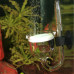 Реактор CO2 JBL ProFlora Taifun P 
